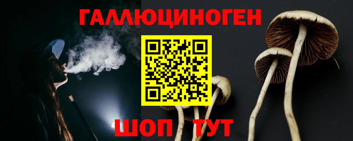 Псилоцибиновые грибы ЛСД  Галлюциногенные грибы Magic Shrooms  Ногинск  Вход с VPN 